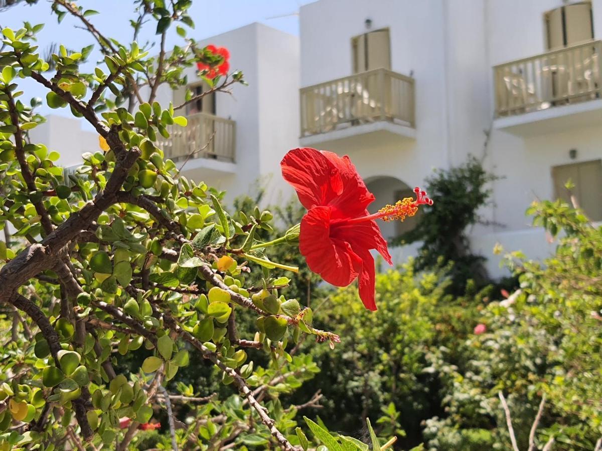 Vidalis Hotel Киониа Екстериор снимка