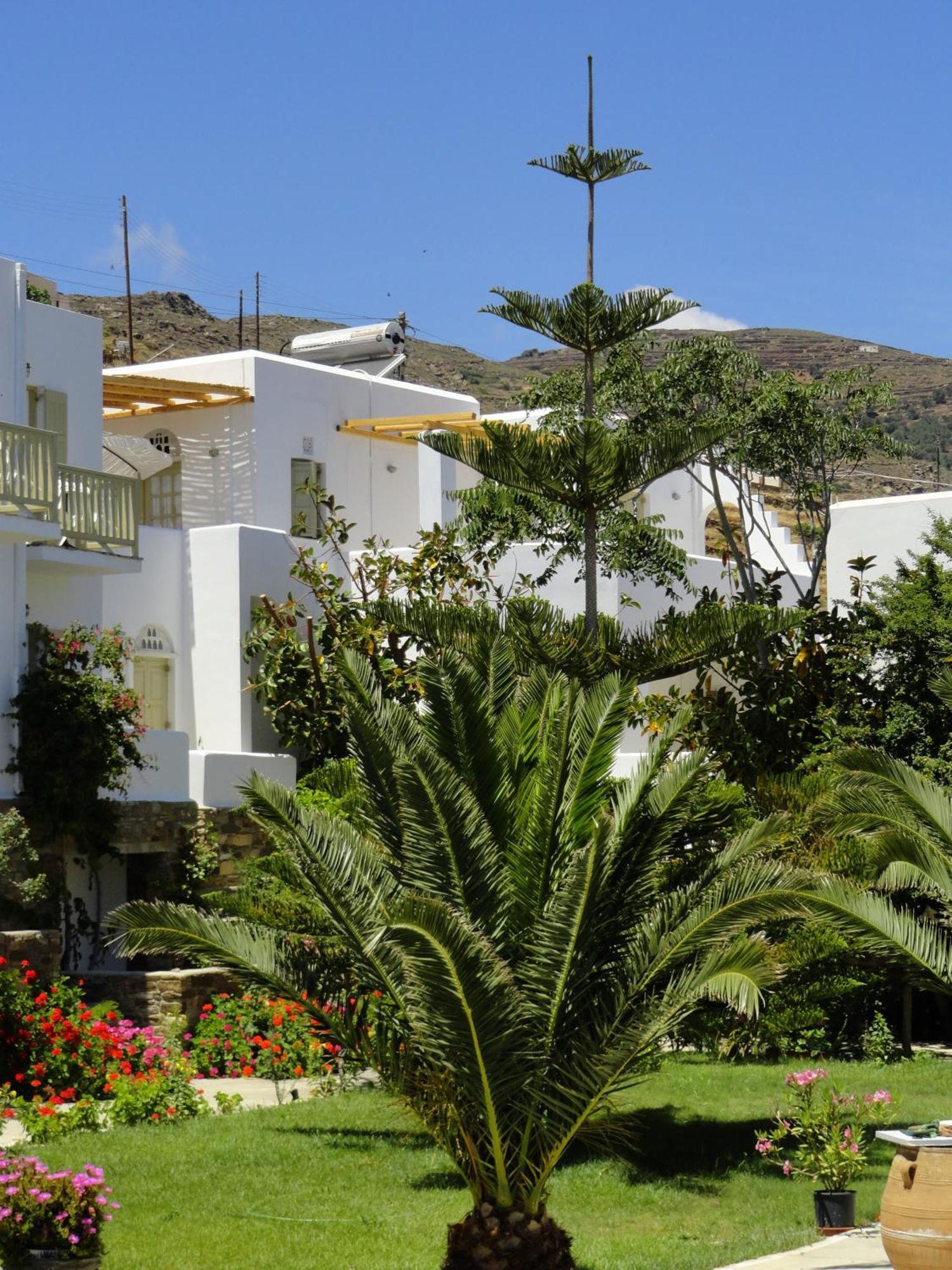 Vidalis Hotel Киониа Екстериор снимка